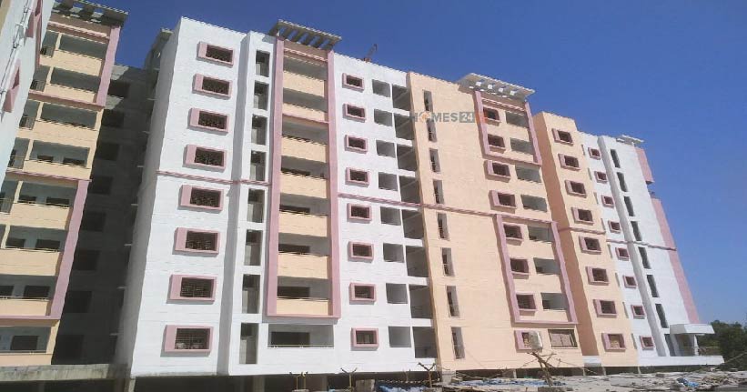 Sai Purvi The Pristine Cover Image